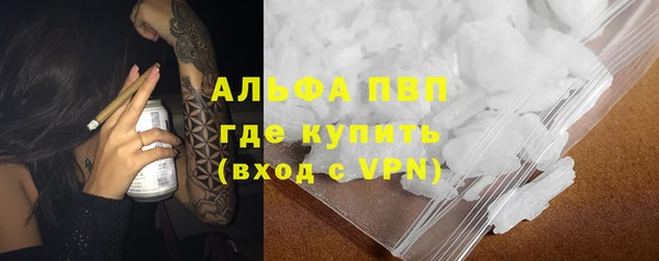 мет Касимов