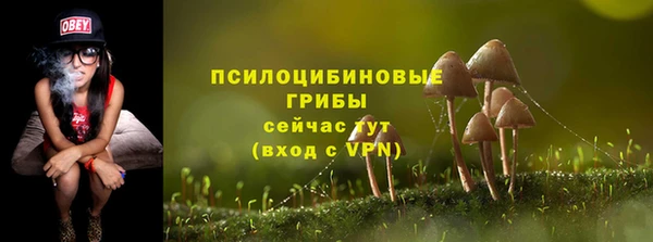 мет Касимов