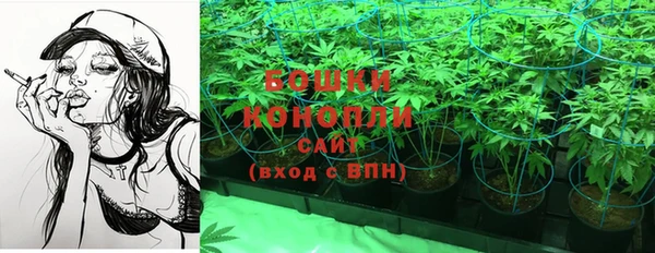 мет Касимов