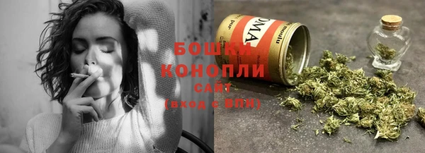 мет Касимов