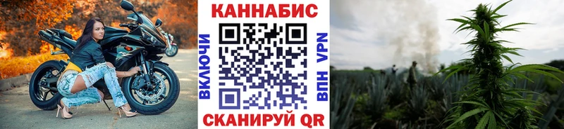 Шишки марихуана SATIVA & INDICA  Купить закладки  Гуково 